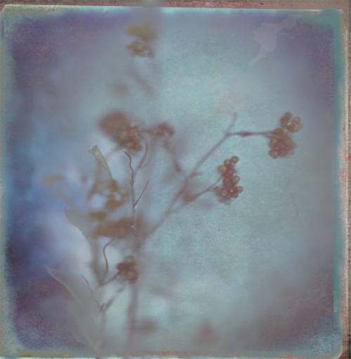 Луна в знаках соляра. 01