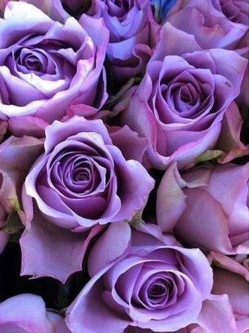 Доброе утро. Радоваться жизни - самое правильное решение, которое надо принимать несколько раз в день. 01