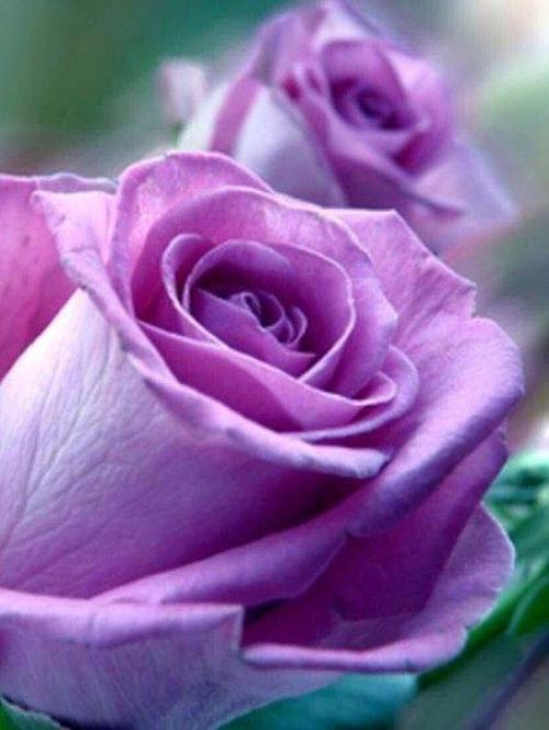 Доброе утро. Радоваться жизни - самое правильное решение, которое надо принимать несколько раз в день. 04