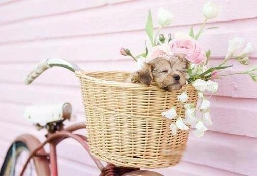 Доброе утро. Почаще устраивайте себе разгрузочный день: 01