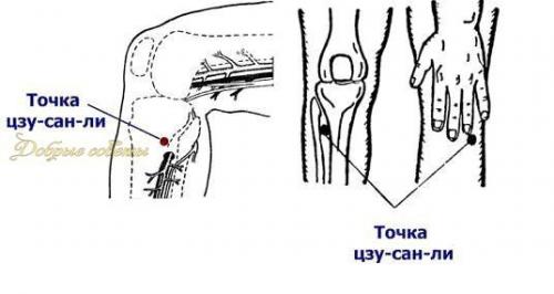 Точка долголетия.  Цзу - сан - ли. 01