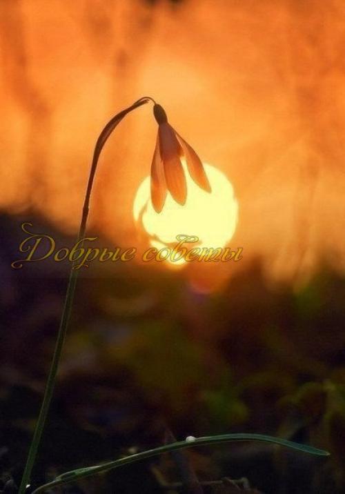 Умейте радоваться дням: слезам дождя, закатам солнца, ведь день уйдет и не вернется. 04