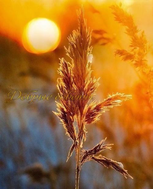 Умейте радоваться дням: слезам дождя, закатам солнца, ведь день уйдет и не вернется. 02