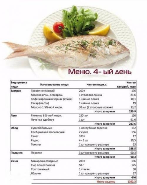 Дневная программа питания для похудения? 03