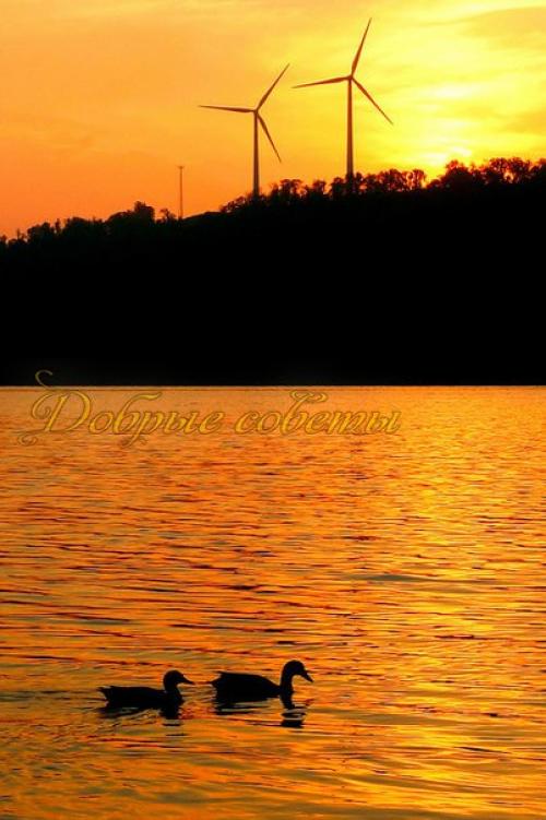 Умейте радоваться дням: слезам дождя, закатам солнца, ведь день уйдет и не вернется. 06