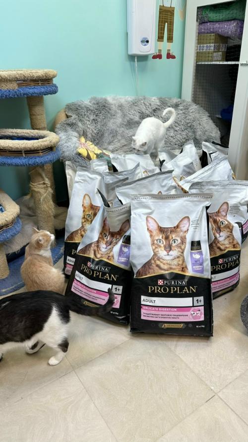 Наши 276 котов в день съедают 10 кг сухого корма, это не считая корма для котят и разных вет диет. 01