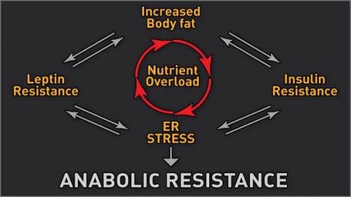 Жиробилдинг худеть или почему нужно сначала. 01