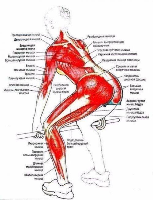 Умные тренировки = эффективные тренировки. 01