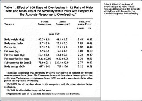Жиробилдинг худеть или почему нужно сначала. 04
