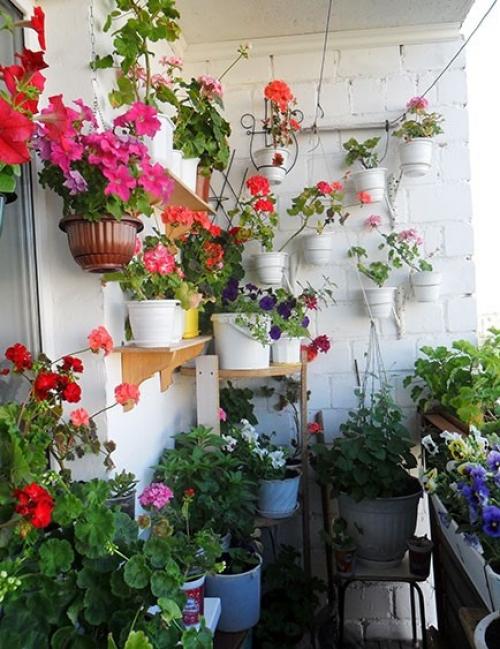 Секреты цветника в квартире. 01 Секреты цветника в квартире. 01