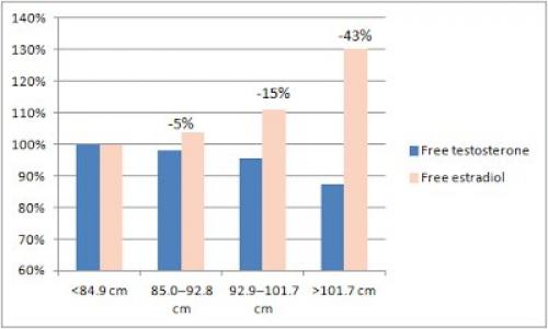Жиробилдинг худеть или почему нужно сначала. 02