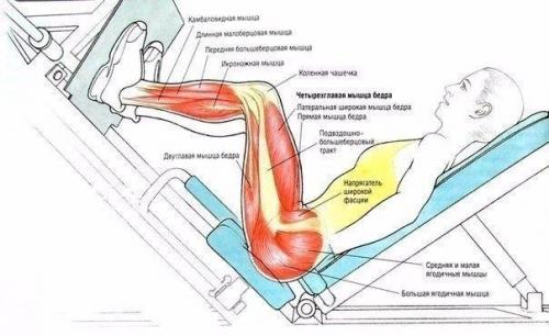 Умные тренировки = эффективные тренировки. 04