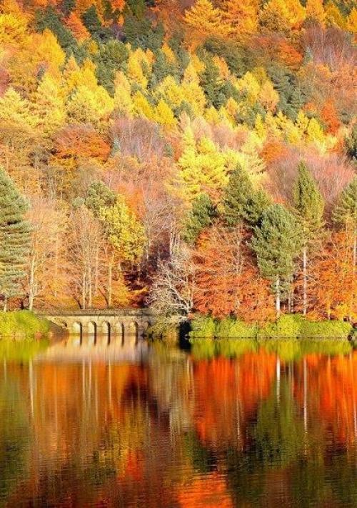 Доброе утро!  Цените каждый день, каким бы не был, пусть горько иногда, и плачет небо. 01