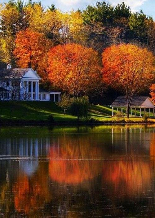 Доброе утро!  Цените каждый день, каким бы не был, пусть горько иногда, и плачет небо. 04