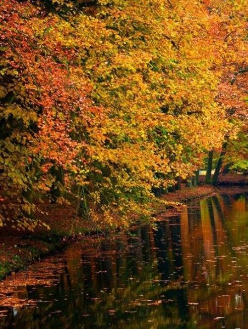 Доброе утро!  Цените каждый день, каким бы не был, пусть горько иногда, и плачет небо. 05