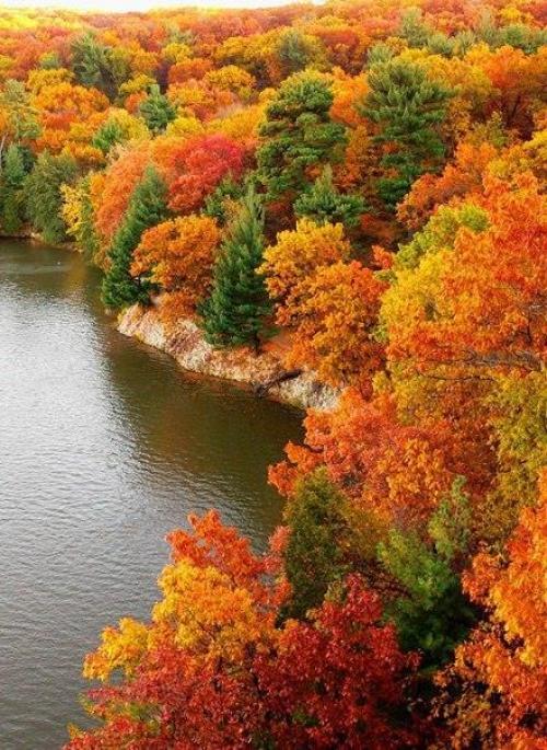 Доброе утро!  Цените каждый день, каким бы не был, пусть горько иногда, и плачет небо. 02