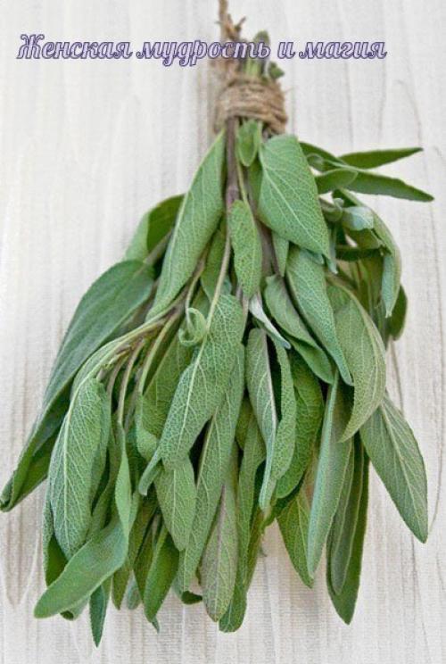 Как очистить и защитить дом. 02 Как очистить и защитить дом. 02