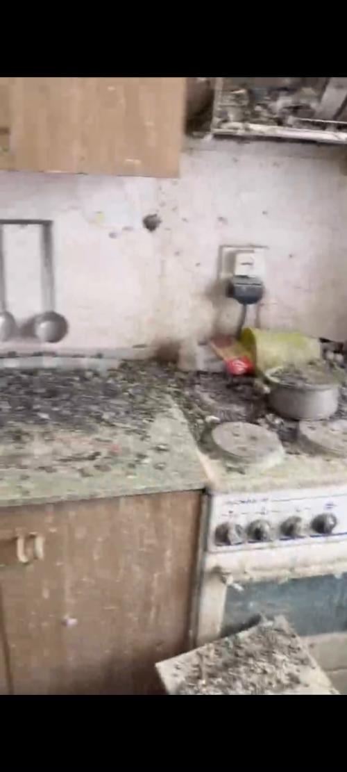 После трёхлетнего отсутствия в своей воркутинской квартире, мужчина вернулся и обнаружил, что его жилище стало пристанищем для стаи голубей. 02