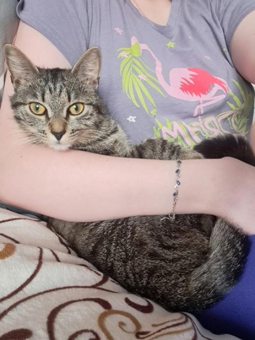 Из_нового_дома. 03 Из_нового_дома. 03