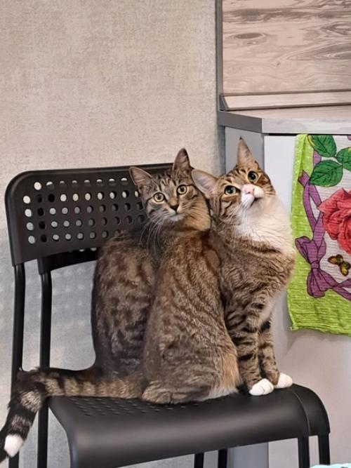 Из_нового_дома. 05 Из_нового_дома. 05