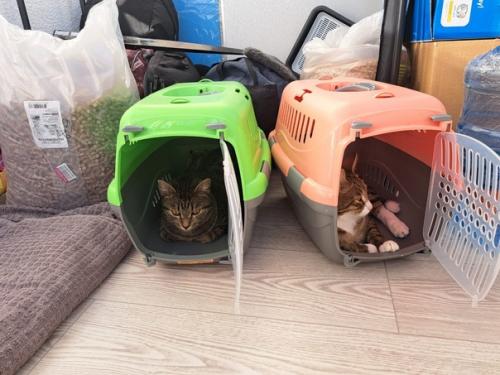 Из_нового_дома. 01 Из_нового_дома. 01