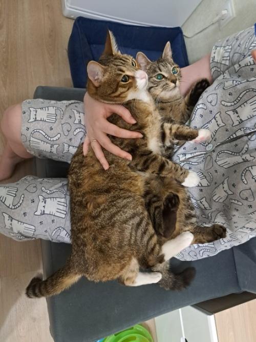 Из_нового_дома. 02 Из_нового_дома. 02