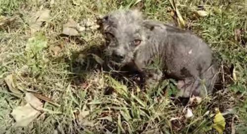 Счастье - под ногами …. 02 Счастье - под ногами …. 02