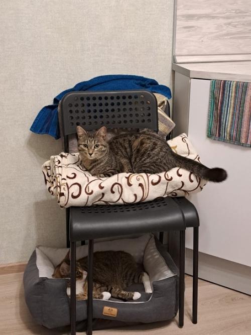 Из_нового_дома. 04 Из_нового_дома. 04