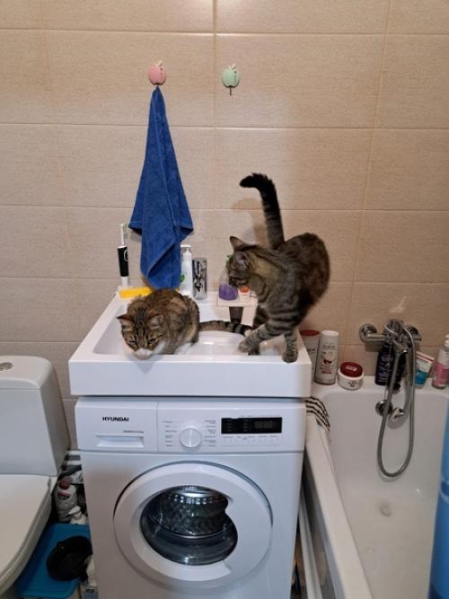 Из_нового_дома. 07 Из_нового_дома. 07