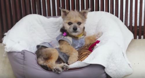 Счастье - под ногами …. 05 Счастье - под ногами …. 05