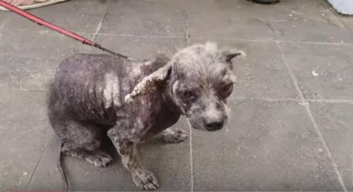 Счастье - под ногами …. 01 Счастье - под ногами …. 01