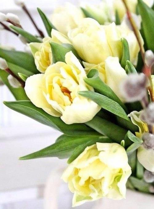 Доброе утро. Пусть ваше утро добрым будет! 04