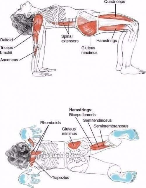 Растяжка просто необходима для красивого и здорового тела? 01