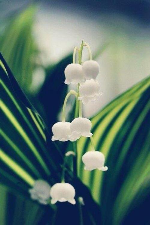 Что женщина хочет? 02