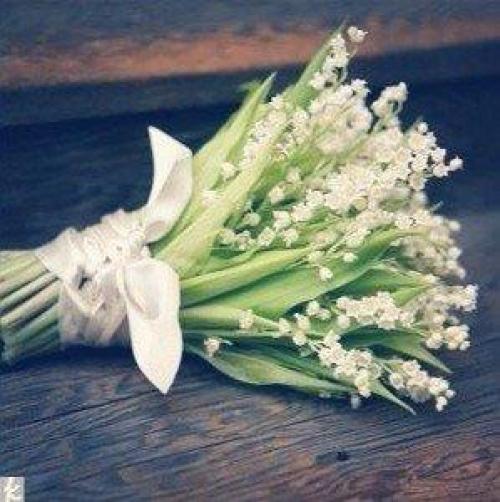 Что женщина хочет? 04