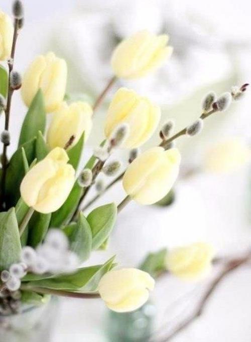 Пусть ваше утро добрым будет! 03