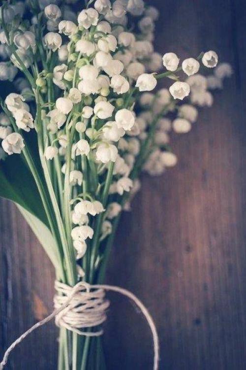 Что женщина хочет? 05