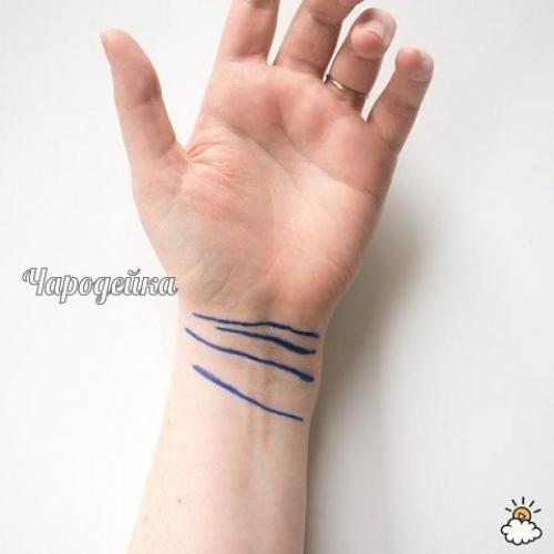 Линии на запастьях говорит о вашем будущем! 04