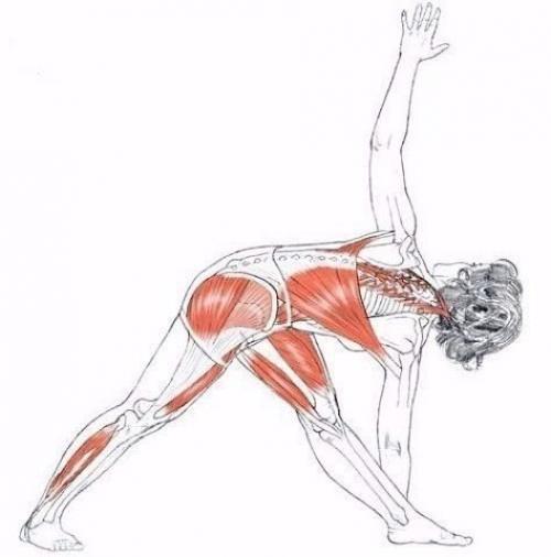 Умение садиться на шпагат вызывает неподдельное восхищение. 01