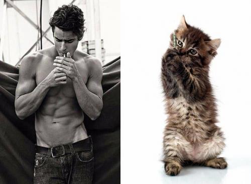Мужчины и коты. 02