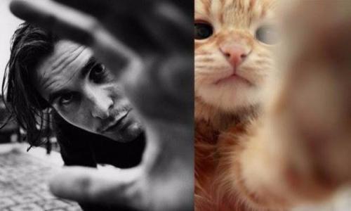 Мужчины и коты. 07