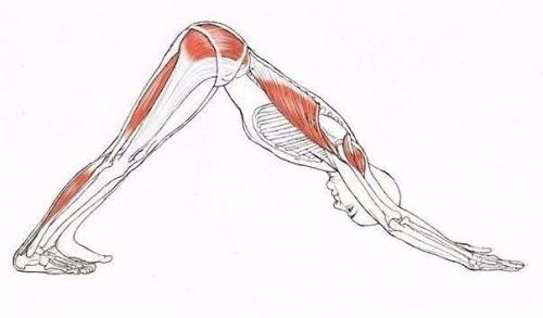 Умение садиться на шпагат вызывает неподдельное восхищение. 05