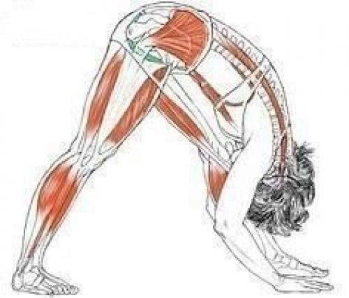 Умение садиться на шпагат вызывает неподдельное восхищение. 02