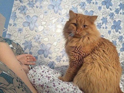 Спасённая жизнь. Мы с будущей супругой летним вечером ехали в магазин за стройматериалами. 02 Спасённая жизнь. Мы с будущей супругой летним вечером ехали в магазин за стройматериалами. 02