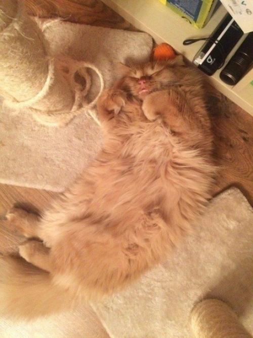 Спасённая жизнь. Мы с будущей супругой летним вечером ехали в магазин за стройматериалами. 04 Спасённая жизнь. Мы с будущей супругой летним вечером ехали в магазин за стройматериалами. 04