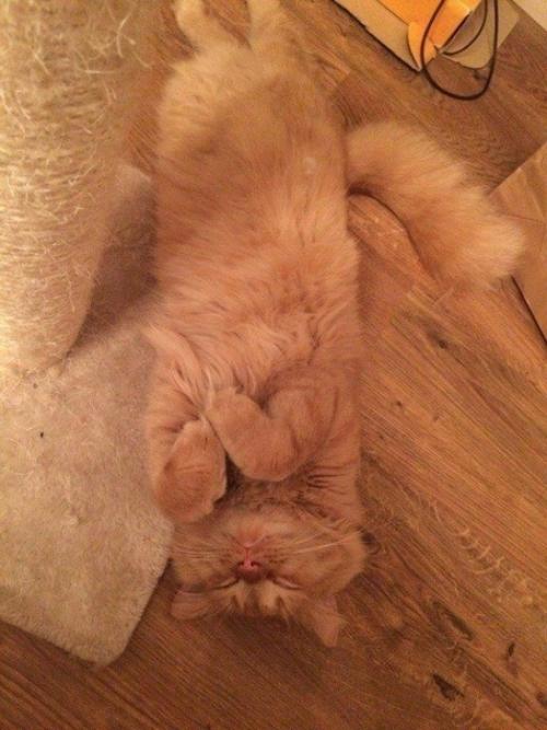 Спасённая жизнь. Мы с будущей супругой летним вечером ехали в магазин за стройматериалами. 01 Спасённая жизнь. Мы с будущей супругой летним вечером ехали в магазин за стройматериалами. 01