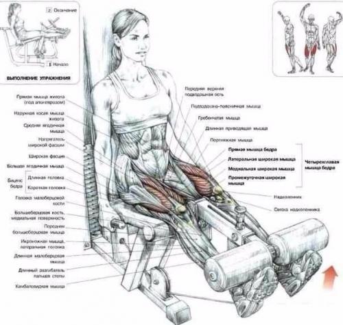 Самые эффективные упражнения для мышц ног. 01