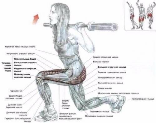 Самые эффективные упражнения для мышц ног. 02