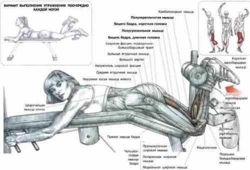 Самые эффективные упражнения для мышц ног. 04
