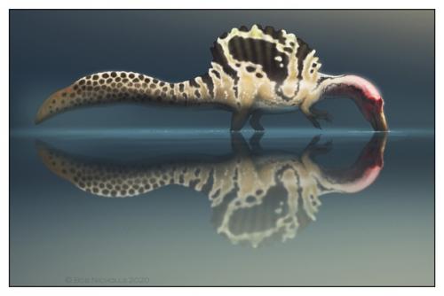 Откуда взялась адская цапля? 02